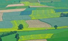 Suprafetele exploatate in sistem ecologic vor creste la nivelul Prahovei cu 550 de hectare